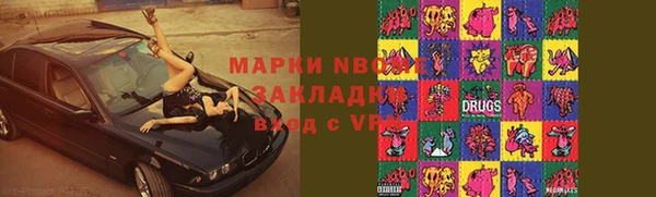 тгк Гусев