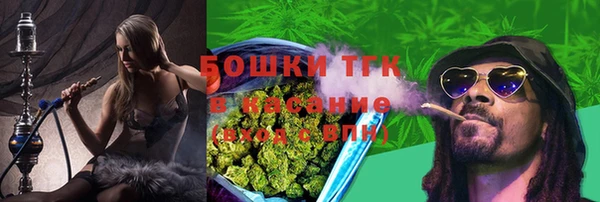 2c-b Горняк