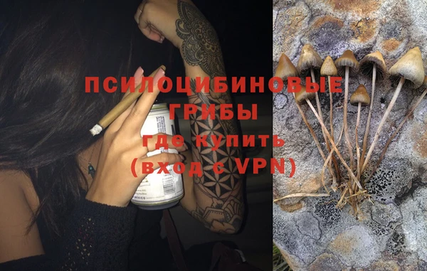 2c-b Горняк