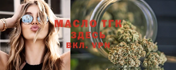 2c-b Горняк