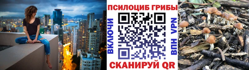 Галлюциногенные грибы Cubensis мега зеркало Железногорск-Илимский